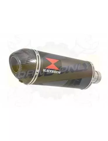 FZ-1N FZ-1 N exhaust tube de raccord et Ovale Black Silencieux En Inox + Carbon Tip 300mm