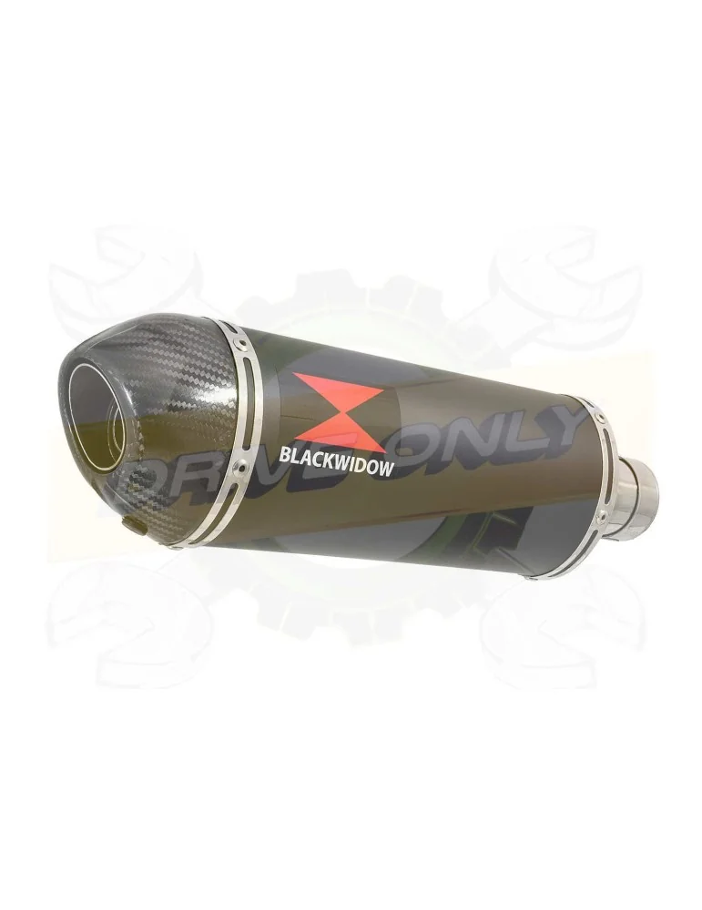 FZ-1N FZ-1 N exhaust tube de raccord et Ovale Black Silencieux En Inox + Carbon Tip 300mm