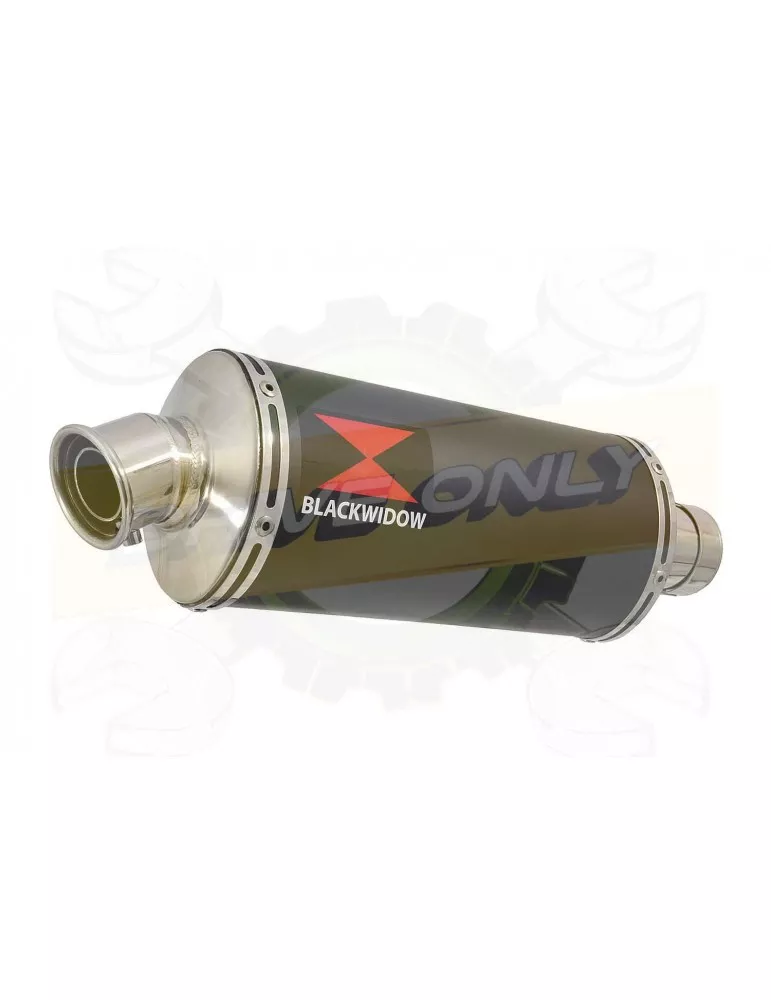 FZ-1N FZ-1 N exhaust tube de raccord et Ovale Black Silencieux En Inox 300mm