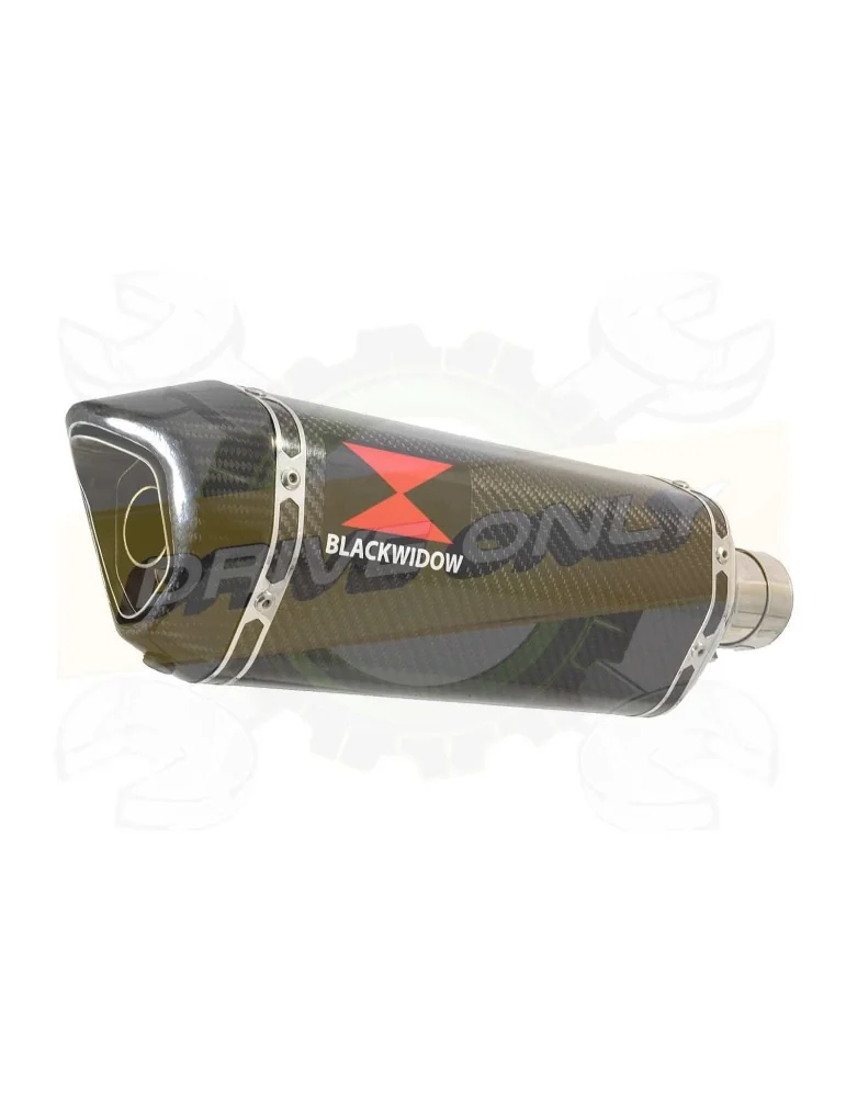 FZ-1N FZ-1 N exhaust tube de raccord et Hexagonale En Carbone Silencieux 300mm