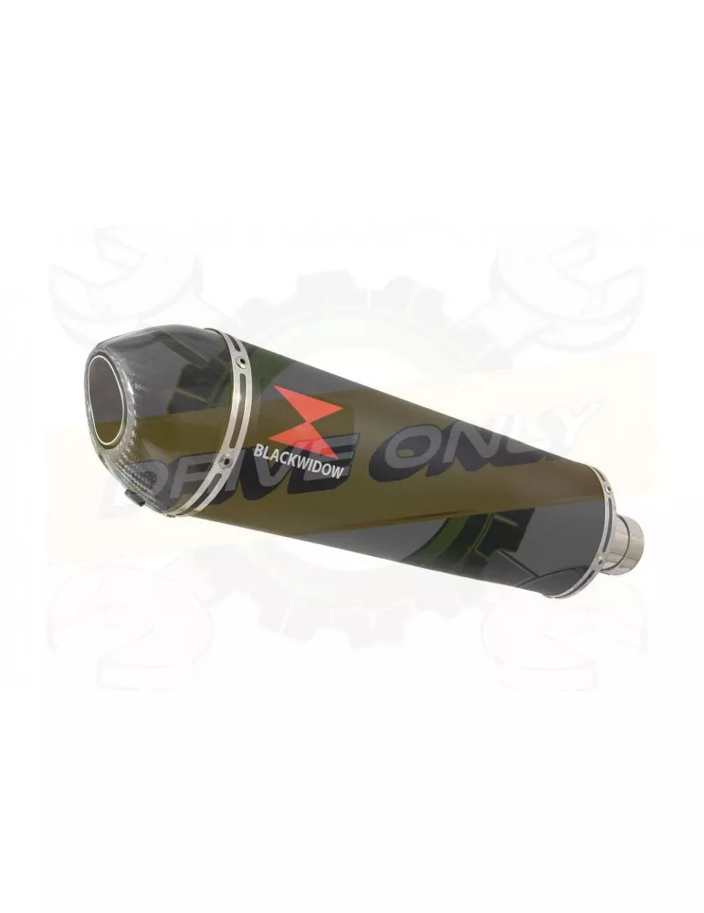 ZX10R Decata / Tube de raccord & Silencieux Ovale Noir En Inox & Canule en Carbone 400mm