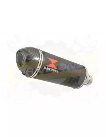ZX10R Decata / Tube de raccord & Silencieux Ovale Noir En Inox & Canule en Carbone 300mm