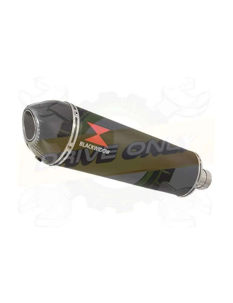 APRILIA RS4 125 2011 - 2018 Ligne complètes & Ovale Noir Silencieux En Inox + En Carbone Tip 400mm