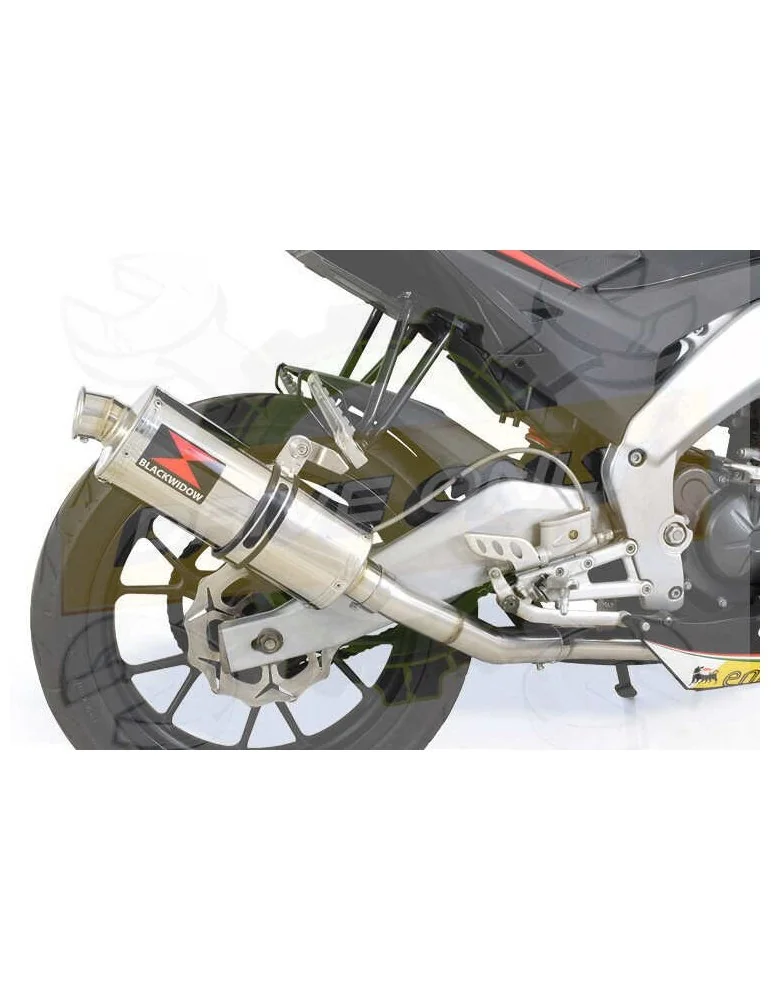 APRILIA RS4 125 2011 - 2018 Ligne complètes & Ovale Silencieux En Inox 300mm
