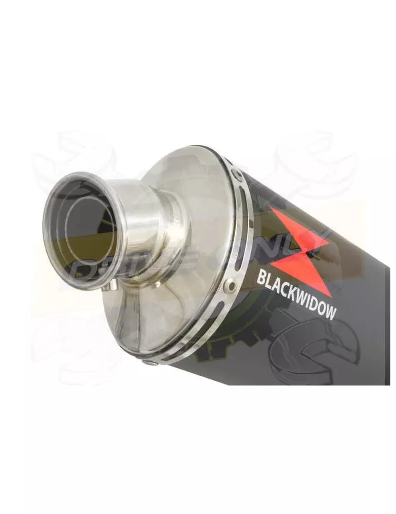 APRILIA RS4 125 2011 - 2018 Ligne complètes & Ovale Noir Silencieux En Inox 300mm