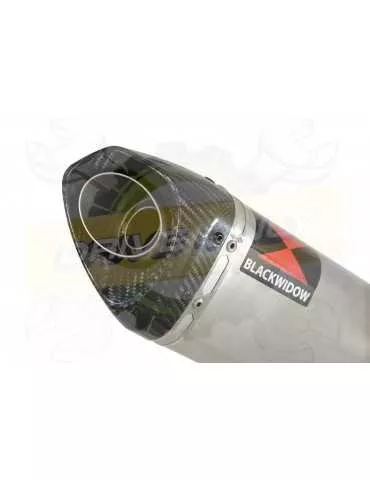  Tri Ovale En Inox Silencieux & En Carbone Tip 350mm