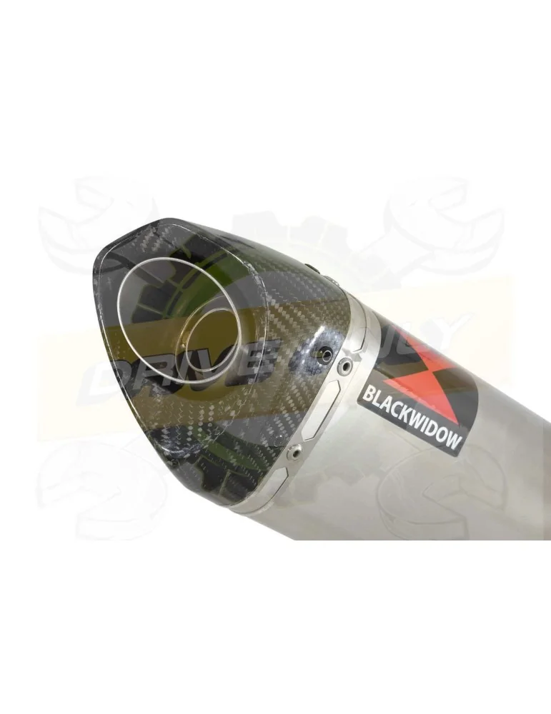  Tri Ovale En Inox Silencieux & En Carbone Tip 350mm