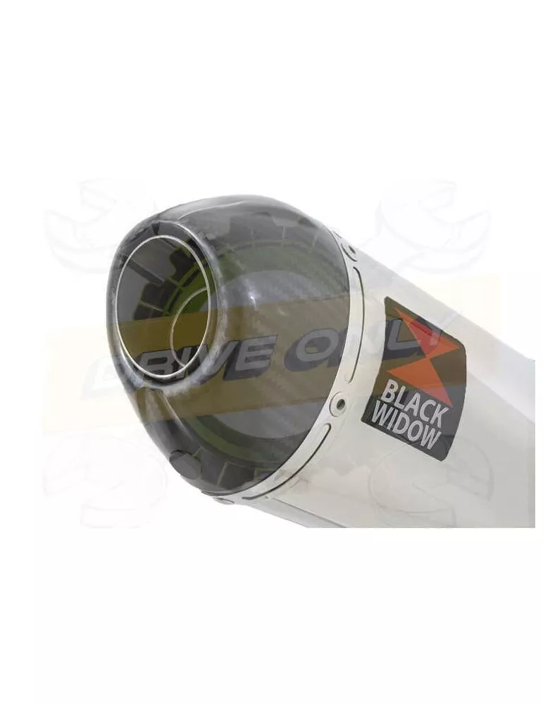 200mm Oval Stainless Steel Slip On Silencer with Carbon Fibre Tip