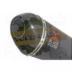 ZX10R Decata / Tube de raccord & Silencieux Ovale Noir En Inox & Canule en Carbone 200mm