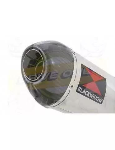 Aprilia Tuono V4R / V4R APRC 2011/2015 Passage Haut Exhaust tube de raccord & Ovale Silencieux En Inox + En Carbone Tip 400mm