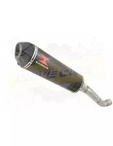 Aprilia Tuono V4R / V4R APRC 2011/2015 Passage Haut Exhaust tube de raccord & Ovale En Carbone Silencieux + Carbon Tip 400mm