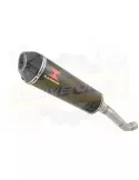 Aprilia Tuono V4R / V4R APRC 2011/2015 Passage Haut Exhaust tube de raccord & Ovale En Carbone Silencieux + Carbon Tip 400mm