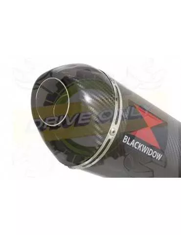 Aprilia Tuono V4R / V4R APRC 2011/2015 Passage Haut Exhaust tube de raccord & Ovale En Carbone Silencieux + Carbon Tip 400mm