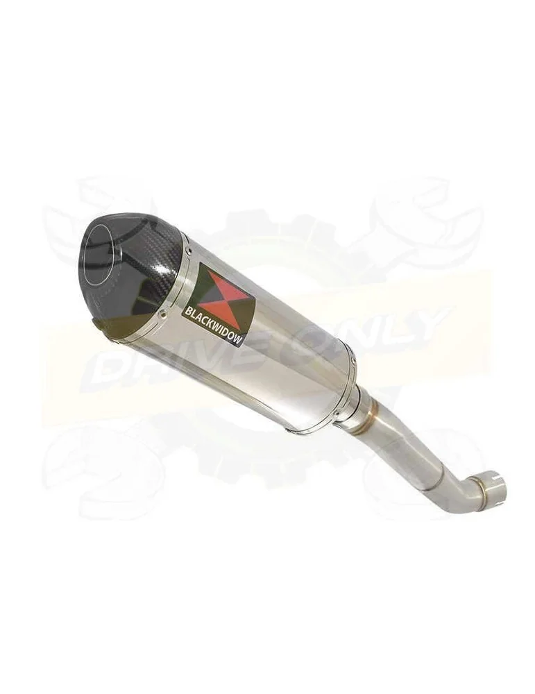 Aprilia Tuono V4R / V4R APRC 2011/2015 Passage Haut Exhaust tube de raccord & Ovale Silencieux En Inox + En Carbone Tip 300mm