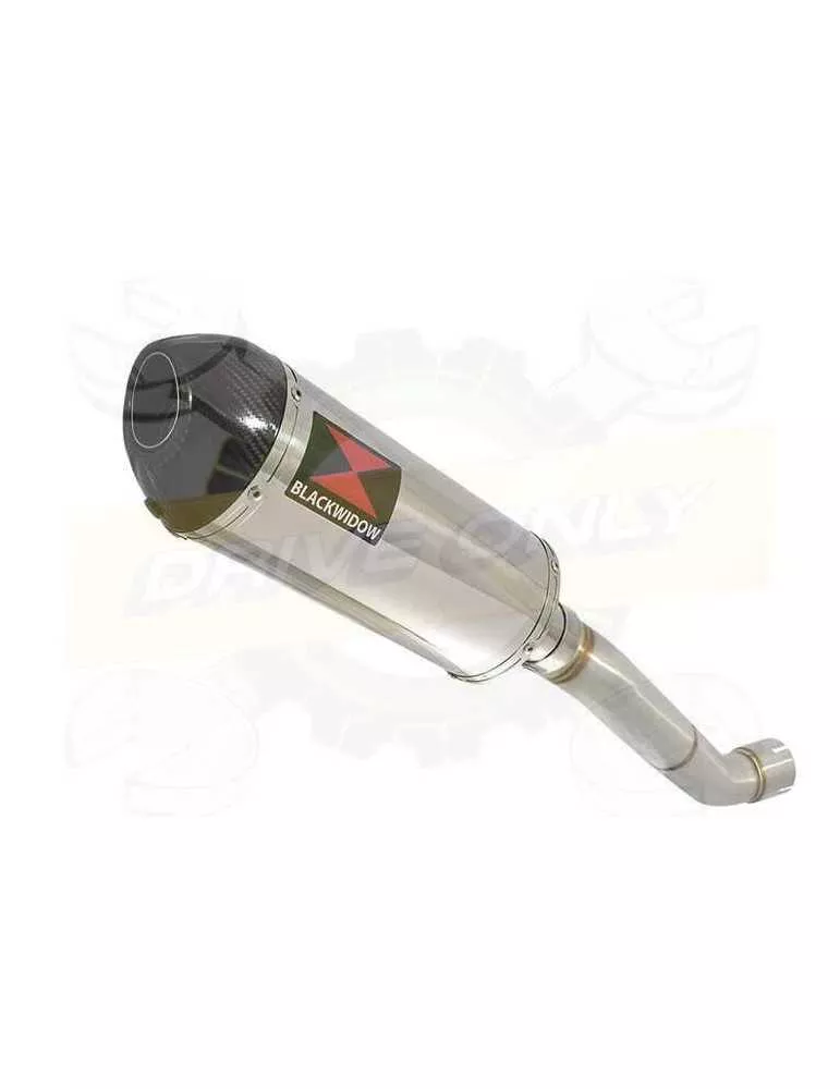Aprilia Tuono V4R / V4R APRC 2011/2015 Passage Haut Exhaust tube de raccord & Ovale Silencieux En Inox + En Carbone Tip 300mm