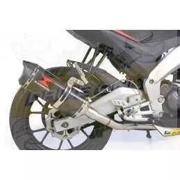 APRILIA RS4 125 2011 - 2018 Trophy 300mm
