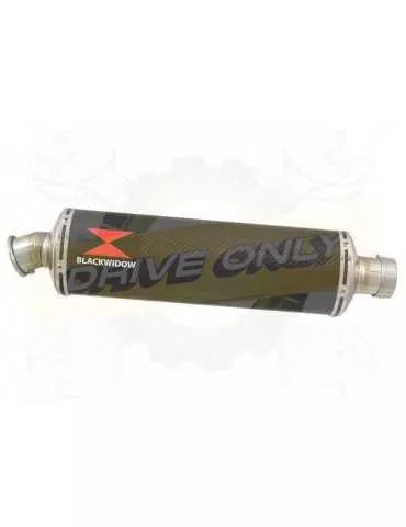 HONDA XL125 VARADERO (JC49) 08-16 Ligne complète & Silencieux Ovale En Carbone 400mm