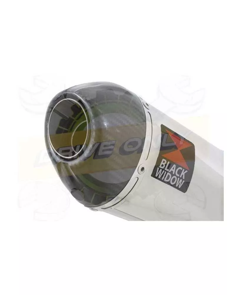 HONDA XL125 VARADERO (JC49) 08-16 Tube de raccord et Silencieux Ovale En Inox + Carbone 200mm