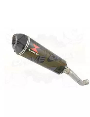 Aprilia RSV4 1000R & Factory 2009/2015 Passage Haut Exhaust tube de raccord & Ovale En Carbone Silencieux + Carbon Tip 400mm