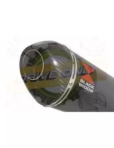Aprilia Tuono V4R / V4R APRC 2011/2015 Passage Haut Exhaust tube de raccord & Ovale En Carbone Silencieux + Carbon Tip 200mm