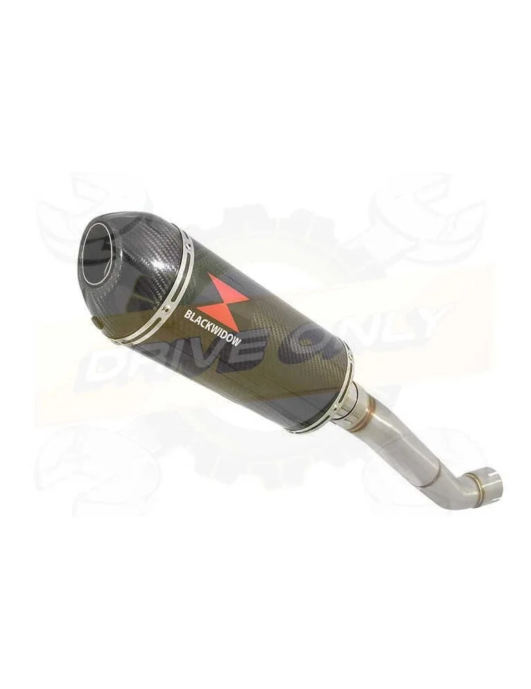 Aprilia RSV4 1000R & Factory 2009/2015 Passage Haut Exhaust tube de raccord & Ovale En Carbone Silencieux + Carbon Tip 300mm