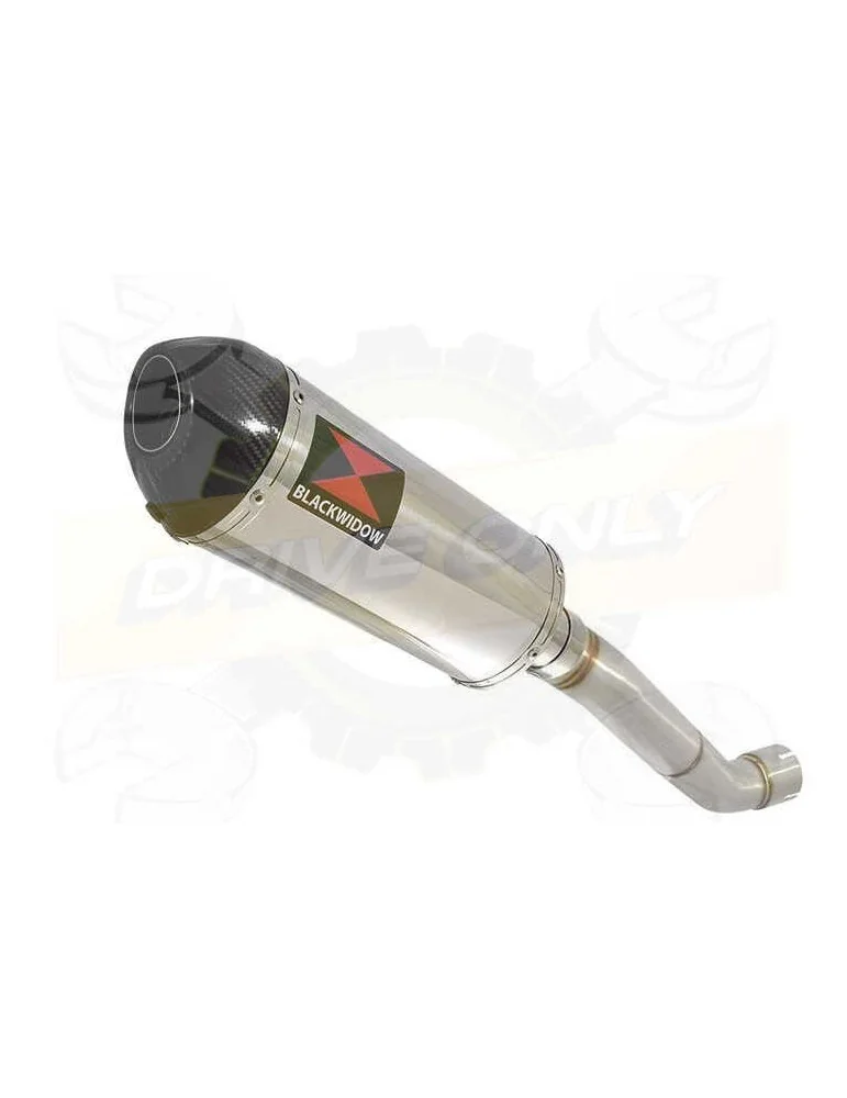 Aprilia RSV4 1000R & Factory 2009/2015 Passage Haut Exhaust tube de raccord & Ovale Silencieux En Inox + En Carbone Tip 300mm