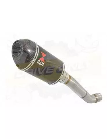 Aprilia RSV4 1000R & Factory 2009/2015 Passage Haut Exhaust tube de raccord & Ovale En Carbone Silencieux + Carbon Tip 200mm
