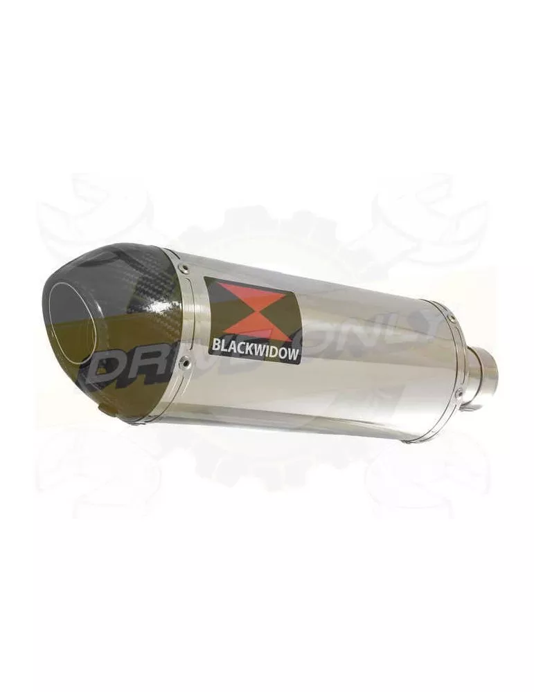 Vespa GT 250 ie 60 2006 - 2009 Ligne complète & Silencieux Ovale En Inox + Canule En Carbone 300mm