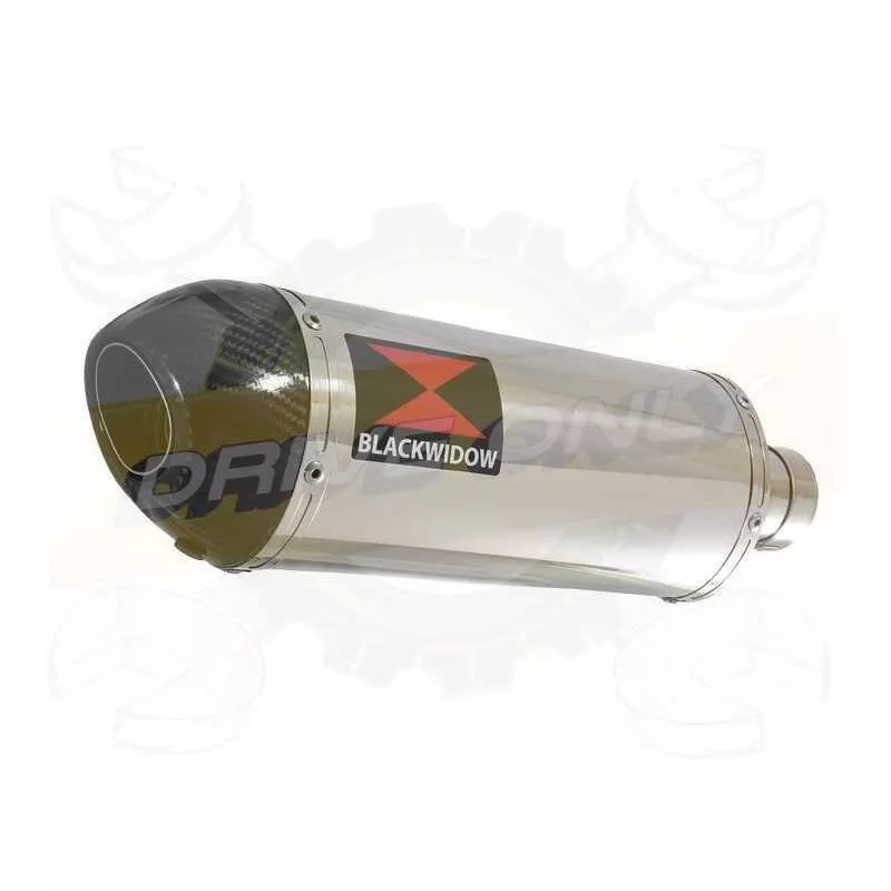 Vespa GTS 125 4T 2007 - 2011 Ligne complète & Silencieux Ovale En Inox + Canule En Carbone 300mm