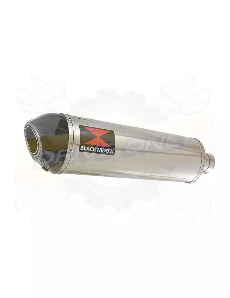 Vespa GTS 125 4T ie Super 2009 - 2016 Ligne complète & Silencieux Ovale En Inox + Canule En Carbone 400mm