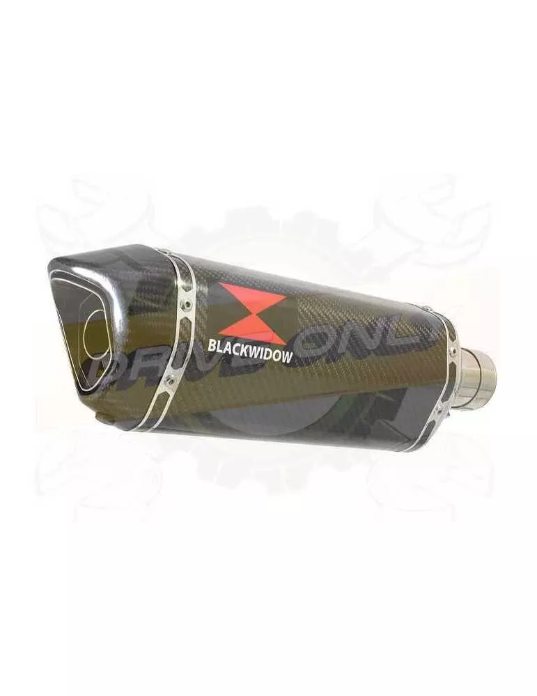 Vespa GTS 125 4T ie Super 2009 - 2016 Ligne complète & Silencieux Hexagonale En Carbone 300mm