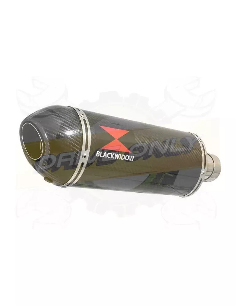 Vespa GTS 300 ie Super 2008 - 2016 Ligne complète & Silencieux Ovale En Carbone 300mm