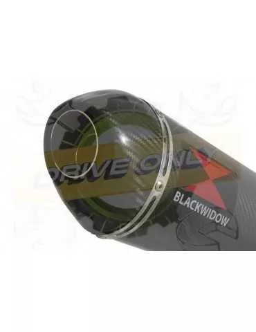 Vespa GTS 300 ie Super 2008 - 2016 Ligne complète & Silencieux Ovale En Carbone 300mm