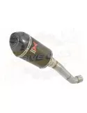 Aprilia Tuono V4R / V4R APRC 2011/2015 Passage Bas Exhaust tube de raccord & Ovale En Carbone Silencieux + Carbon Tip 200mm