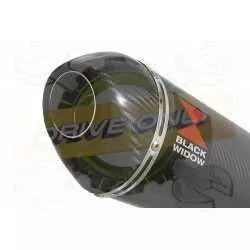 Aprilia Tuono V4R / V4R APRC 2011/2015 Passage Bas Exhaust tube de raccord & Ovale En Carbone Silencieux + Carbon Tip 200mm