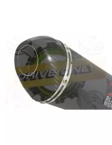 Aprilia RSV4 1000R & Factory 2009/2015 Passage Bas Exhaust tube de raccord & Ovale Black Silencieux En Inox + Carbon Tip 200mm