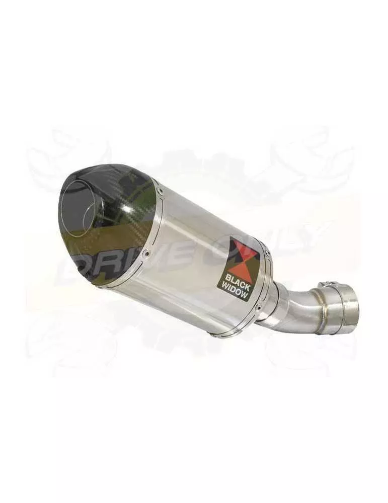Aprilia RSV4 1000R & Factory 2009/2015 Passage Bas Exhaust tube de raccord & Ovale Silencieux En Inox + En Carbone Tip 200mm