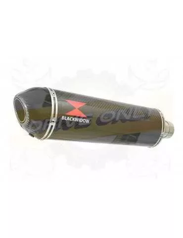 GFZS1000 FZS 1000 FAZER Exhaust Silencieux Kit & Ovale En Carbone Silencieux + En Carbone Tip 400mm