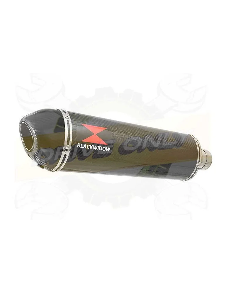 GFZS1000 FZS 1000 FAZER Exhaust Silencieux Kit & Ovale En Carbone Silencieux + En Carbone Tip 400mm
