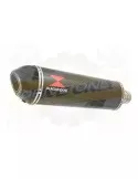 GFZS1000 FZS 1000 FAZER Exhaust Silencieux Kit & Ovale En Carbone Silencieux + En Carbone Tip 400mm
