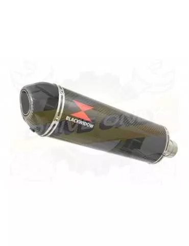 VFR800F VFR 800 1997-2003 (RC46) Ligne complètes & Ovale En Carbone Silencieux + Carbon Tip 400mm