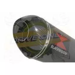 VFR800F VFR 800 1997-2003 (RC46) Ligne complètes & Ovale En Carbone Silencieux + Carbon Tip 400mm