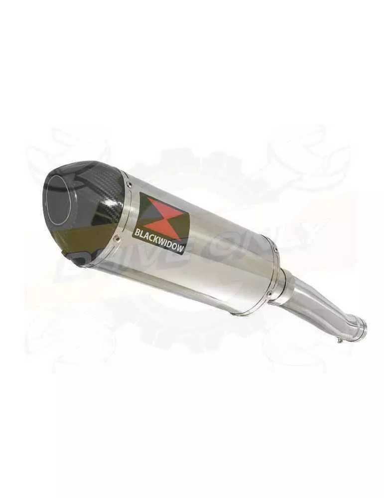 Yamaha FZR 600 FZR600R 4JH 'Fox Eye' Tube de raccord et Silencieux Ovale En Inox + Canule En Carbone 300mm