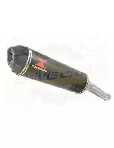 Yamaha FZR 600 FZR600R 4JH 'Fox Eye' Tube de raccord et Silencieux Ovale En Carbone 400mm