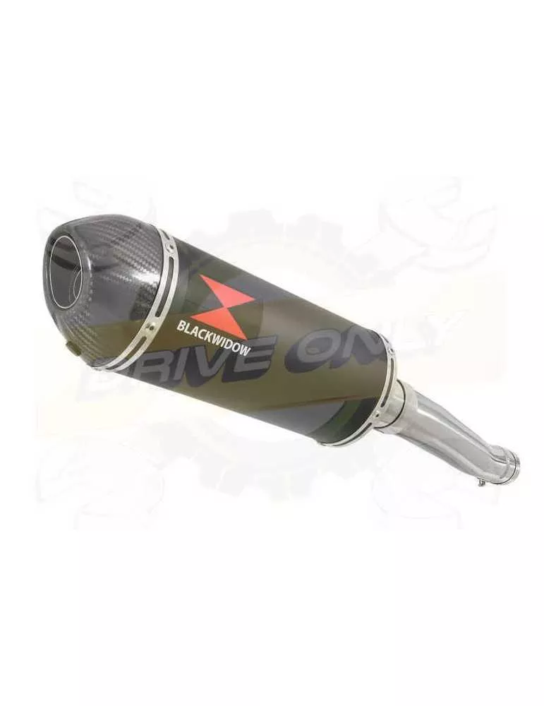 Yamaha FZR 600 FZR600R 4JH 'Fox Eye' Tube de raccord et Silencieux Ovale Noir En Inox + Canule En Carbone 300mm