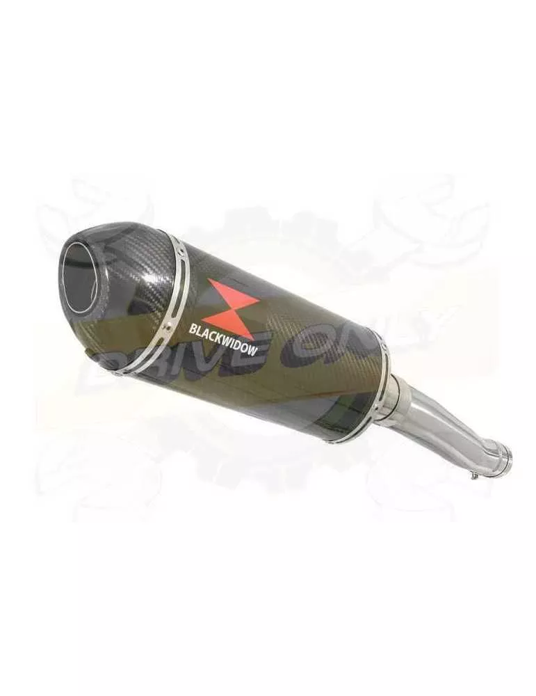 Yamaha FZR 600 FZR600R 4JH 'Fox Eye' Tube de raccord et Silencieux Ovale En Carbone 300mm