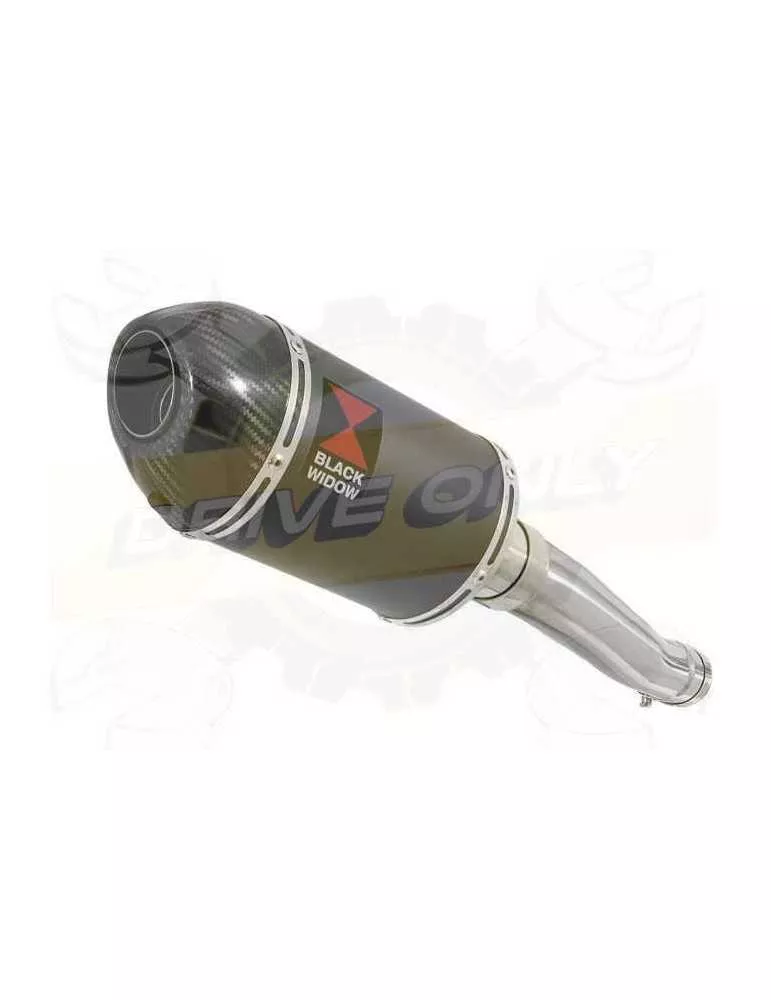 Yamaha FZR 600 FZR600R 4JH 'Fox Eye' Tube de raccord et Silencieux Ovale Noir En Inox + Canule En Carbone 200mm