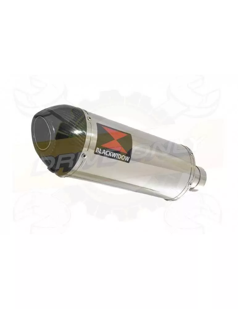 YZF-R1 R1M 2015-2017 Tube de raccord en Titane + Silencieux Ovale En Inox + Canule en Carbone 300mm