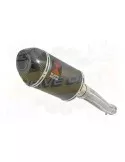 FZR1000 FZR 1000 EXUP Tube de raccord et Silencieux Ovale Noir En Inox & Canule en Carbone 200mm
