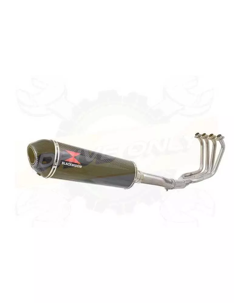 FZS1000 FZS 1000 FAZER Ligne complète & Silencieux Ovale En Carbone 400mm